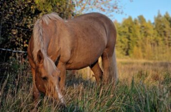 20240919_183833